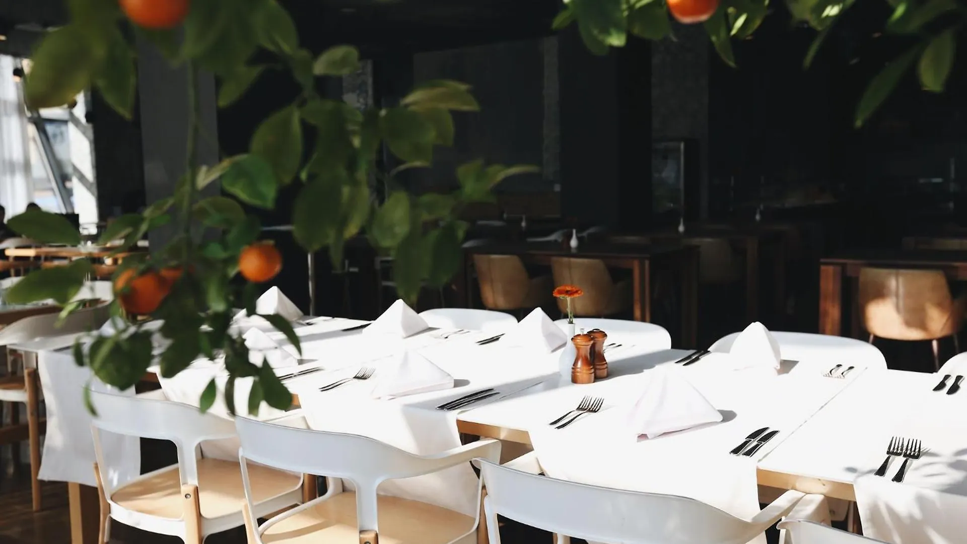 Holiday Inn - Tbilisi By Ihg